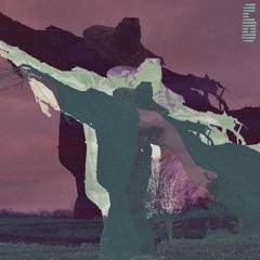 SCARECROW SUNDAYS VOL. 6