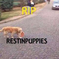 I shleep