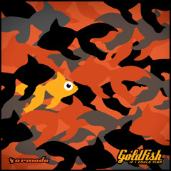 Premiere: GoldFish - If I Could Find (Extended Mix)