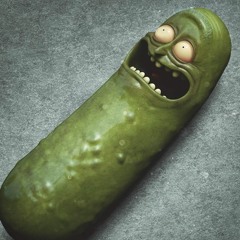 Rick And Morty - I'm Pickle Rick (Noy) (JAEK Remake Version)