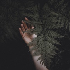 James Maloney - Angel Wings (Tontario Remix)