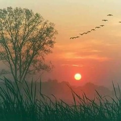 workout🏋️‍♀️