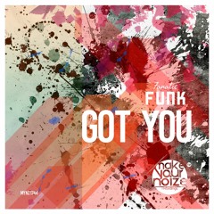 Fanatic Funk - Got You (Original Mix)