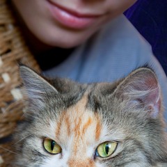 MfC 38 Second Sample From 5A