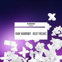 Raw Harmony - Beat Freaks