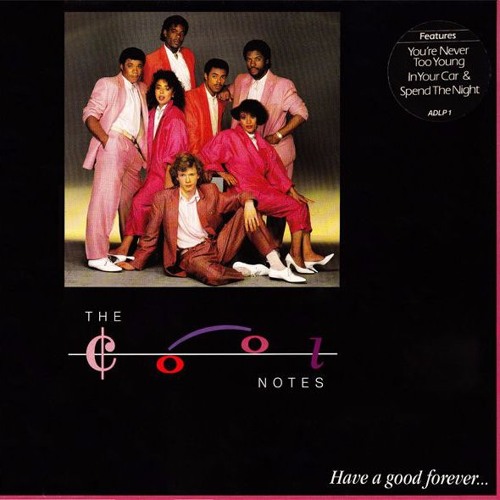 The Cool Notes - Why Not