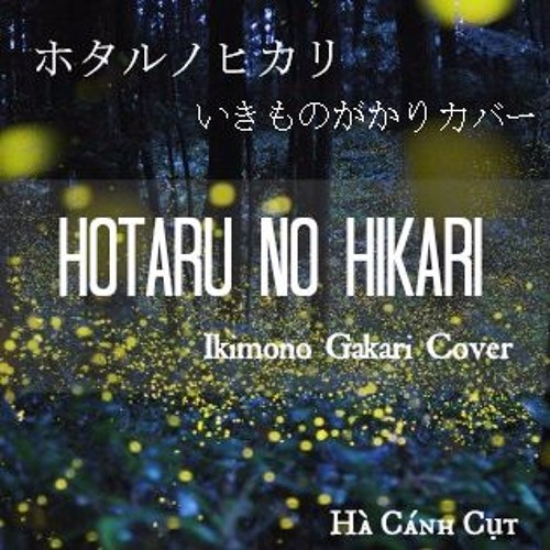 Stream Hotaru No Hikari - Ikimono Gakari cover (ホタルノヒカリ いきものがかり カバー) | Ha  Canh Cut by kawaxchan | Listen online for free on SoundCloud