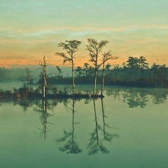 Space Kid - The Swamp