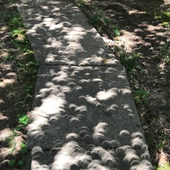 Sidewalk Eclipse
