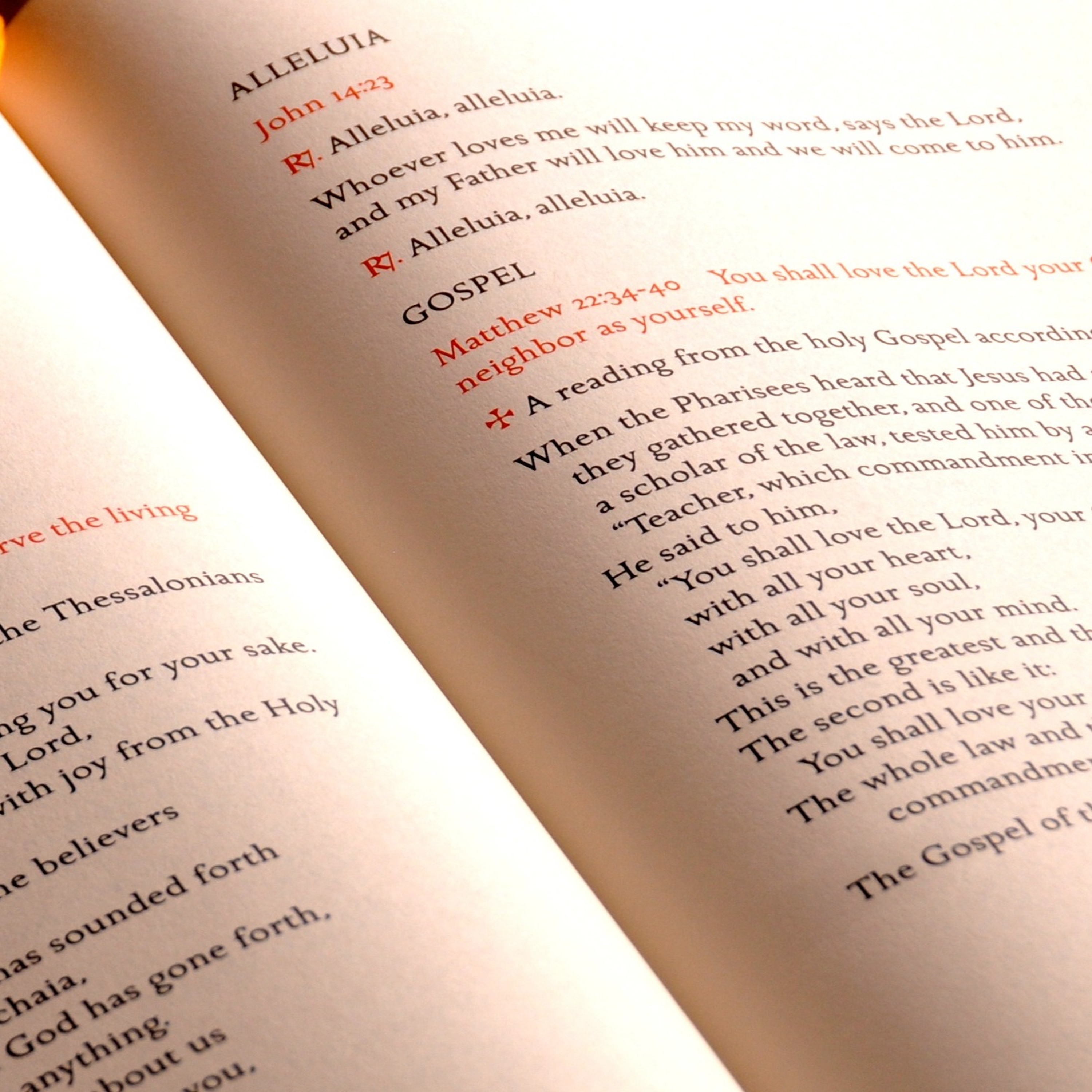 The Mass: The Readings - Homily for August 27 episode artwork