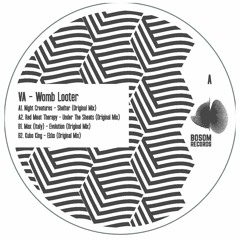 B1. Max (Italy) - Evolution (Original Mix)