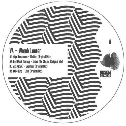 B1. Max (Italy) - Evolution (Original Mix)