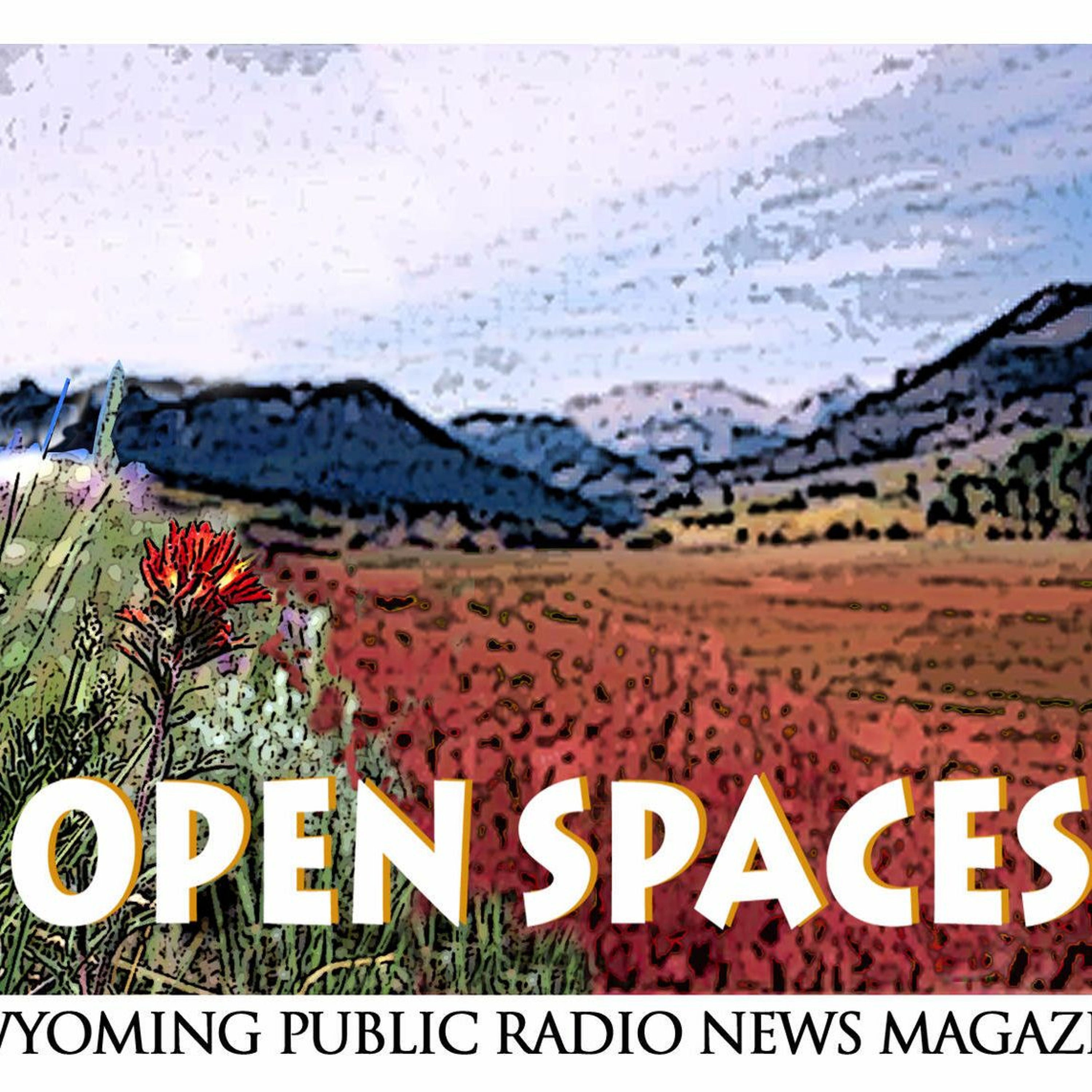 Open Spaces August 25, 2017 episode artwork