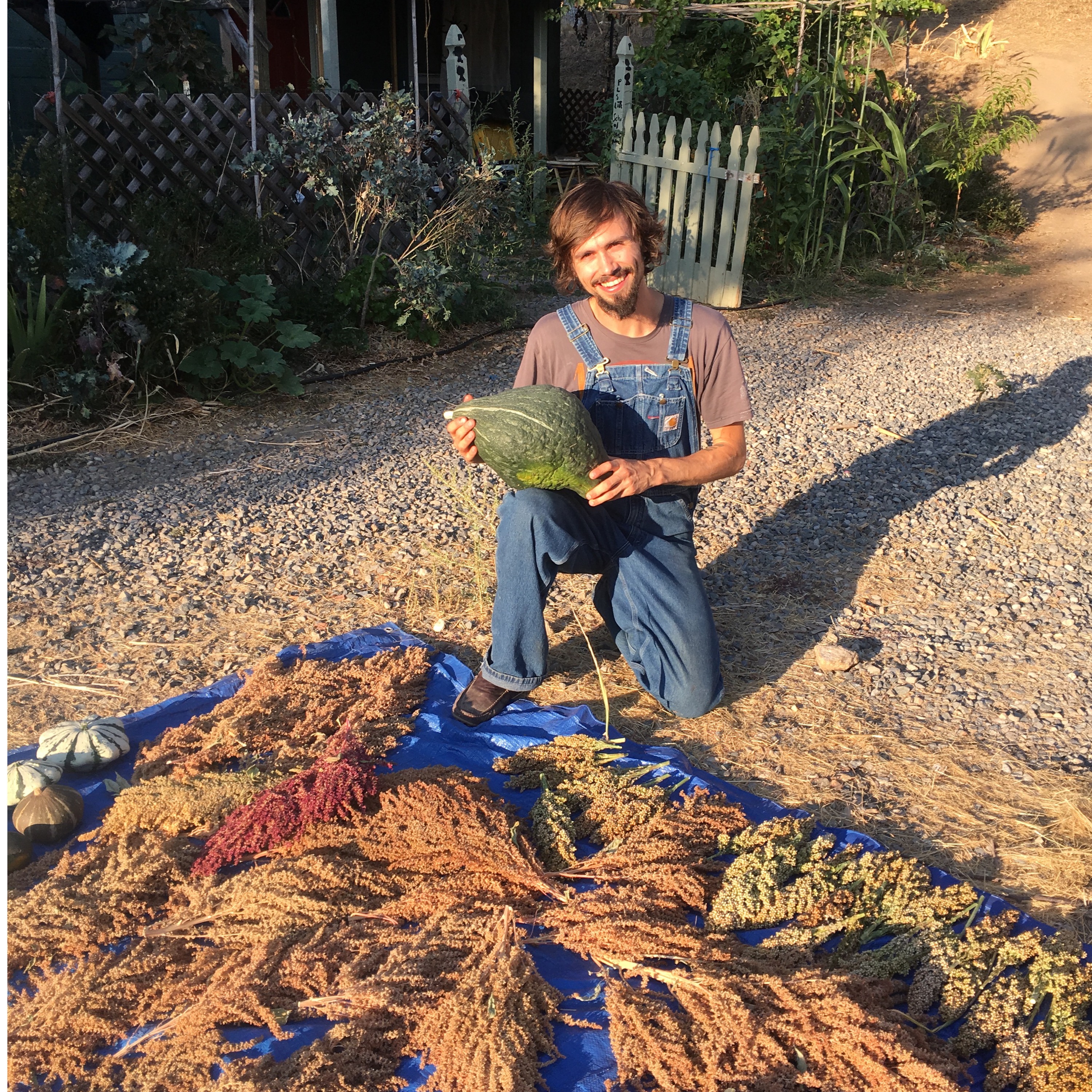 Episode 70 How To Have An Amazing Garden And A 9 - 5 Job Plus A Family Life