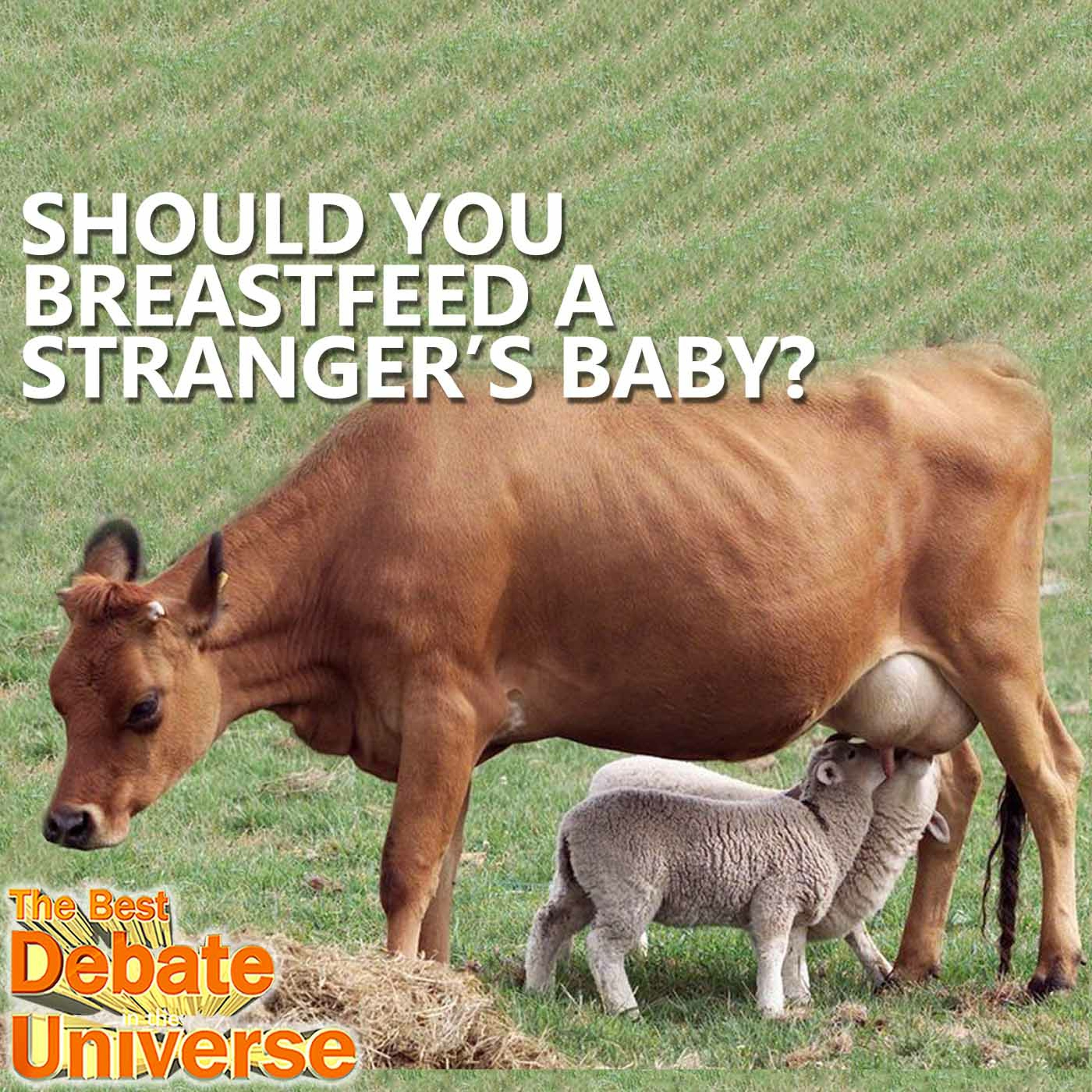 #65 - Should you breastfeed a stranger's child? Caitlin Hall, Rucka, Mikey Bolts, Antifa episode artwork