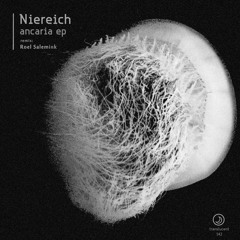 Niereich - Agerola Positano (Roel Salemink Remix)