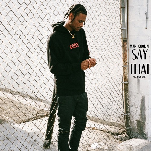 Say That (Feat. Josh Gray)