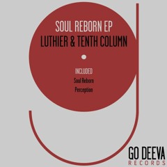 Luthier & Tenth Column - Soul Reborn (Original Mix)