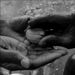 Random Acts of Kindness