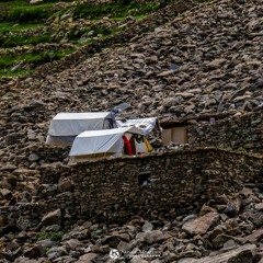 Youri Lentjes  – House a home