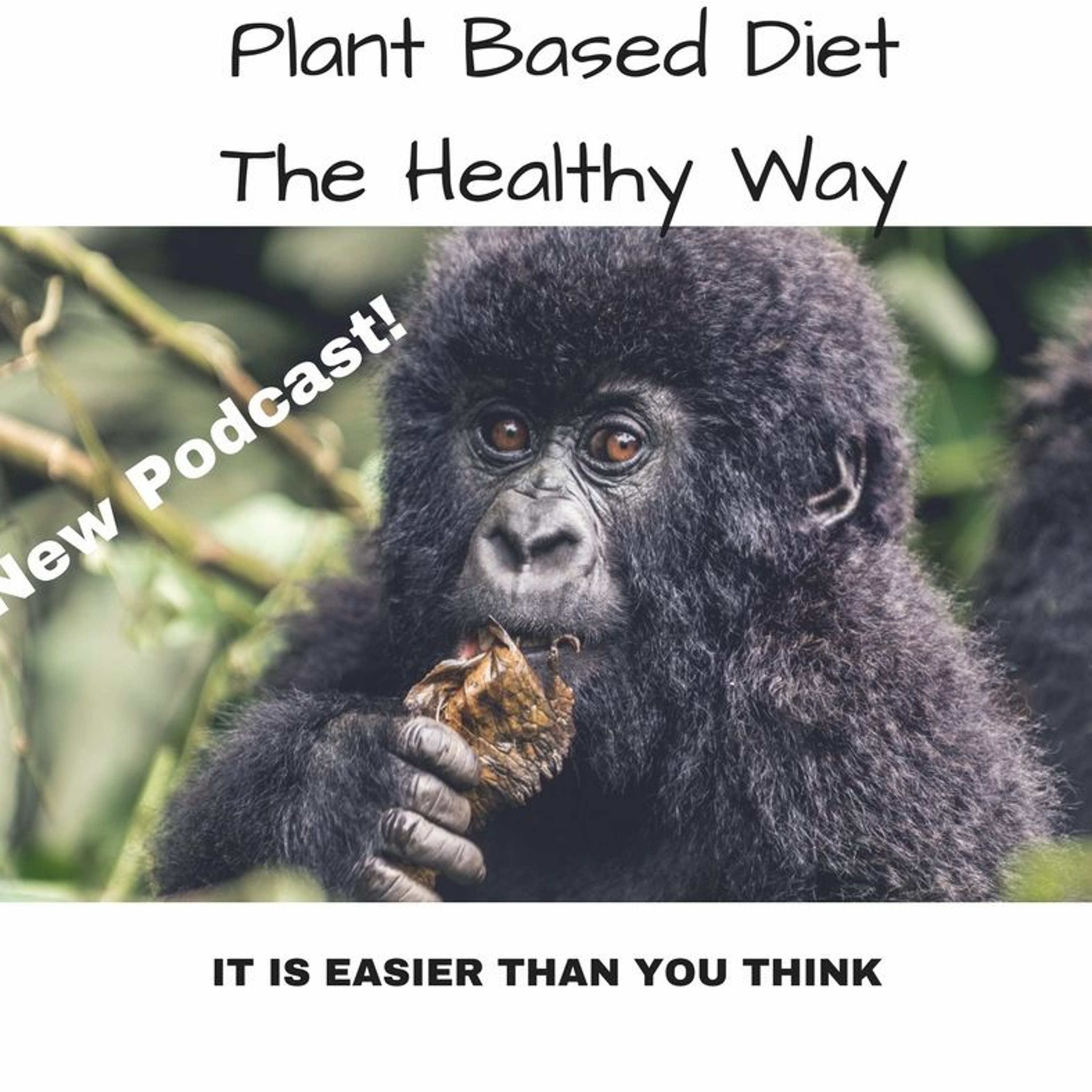 Episode 16; What is a Plant Based Lifestyle and What are the Benefits?