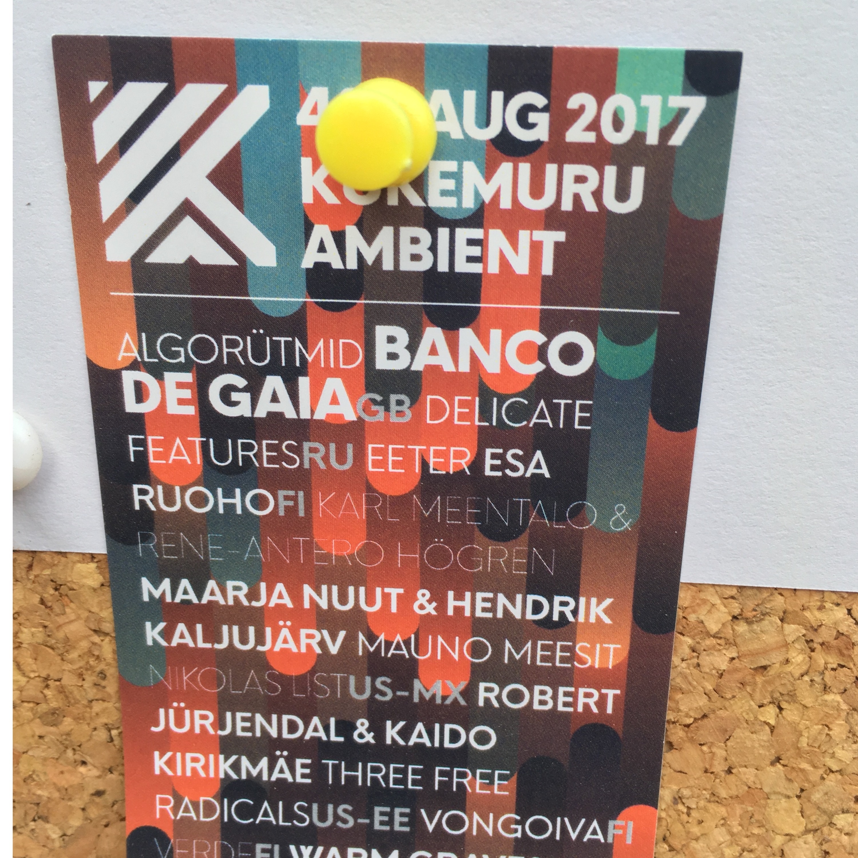 Esa Ruoho Live at Kukemuru Ambient Festival, Estonia (end segment) 05-08-2017 episode artwork