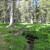 Artwork for Mid-morning soundscape, Carman Valley, 9:46am on June 24, 2017