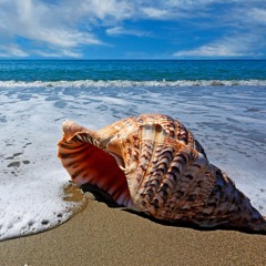 Kangni and choorey wali baah remix