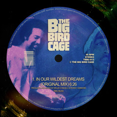THE BIG BIRD CAGE - IN OUR WILDEST DREAMS  **FREE DOWNLOAD**