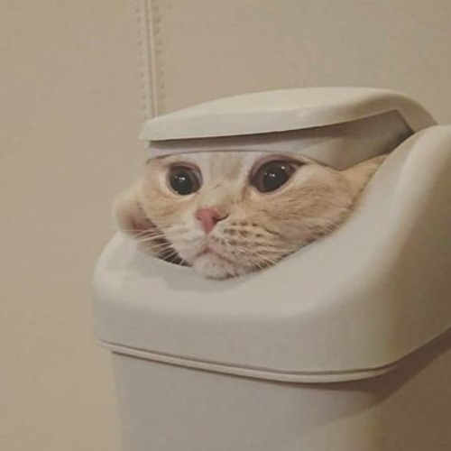 chill cat vol 2: virgo