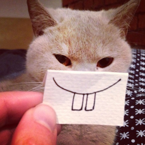 ME0W MiXES V0L 2: ViRGO