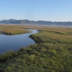 Dawn coyote chorus, Sierra Valley, 5:17am on June 24, 2017