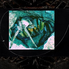 You're Now Tuning into 66.6 FM with DJ Rapture (realtrapmix)