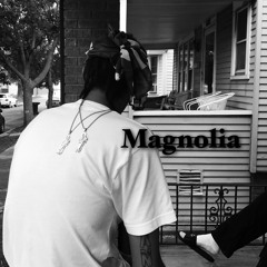 Ice Mane - Magnolia Freestyle