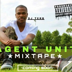 AGENT UNIT Plezi Lavie