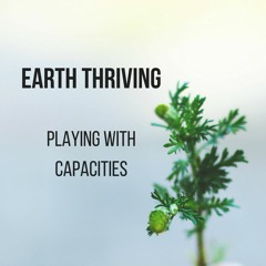 Playing with Capacities