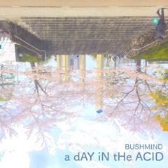 Bushmind / a dAY iN tHe ACID