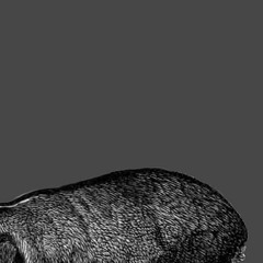 I Will Follow You Into the Dark (Cover)