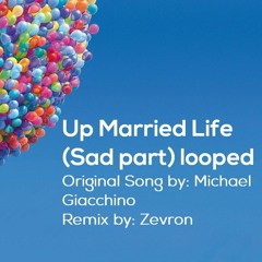 Michael Giacchino - Married Life (Sad part looped)