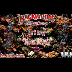 How High ft. Savyy Swiss (prod. Icemane)