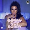 Demi Lovato Sorry Not Sorry Arixed Remix Mp3