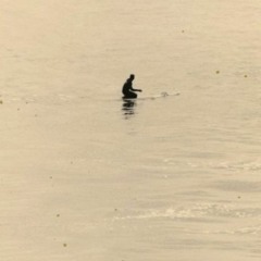 Nov sund lofi n flow