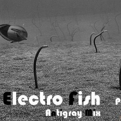 Electro Fish - Antigray