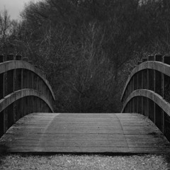 The Half Artist - Otherside