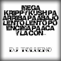KRIPPY KUSH MIX - DJ TOLUENO