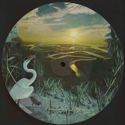 sundrenched x jaga_ - when the dust settles