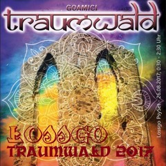 Traumwald 2017