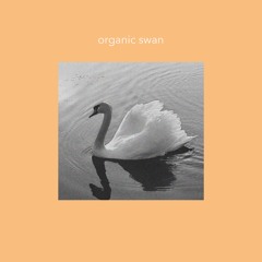 Organic Swan