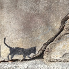 Ghost of Selection Past