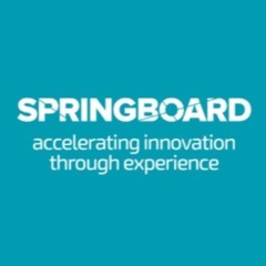 Springboard Podcast - Have I Really got a Great Idea?